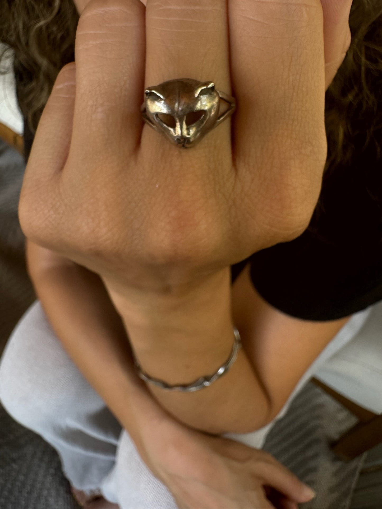 Masked Persian Cat Ring